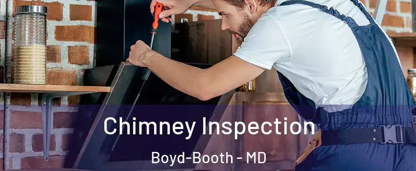 Chimney Inspection Boyd-Booth - MD