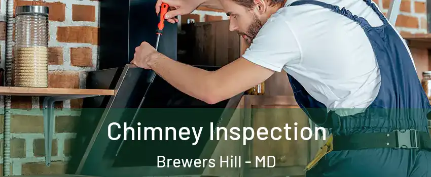 Chimney Inspection Brewers Hill - MD