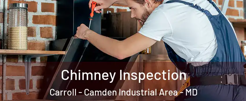 Chimney Inspection Carroll - Camden Industrial Area - MD