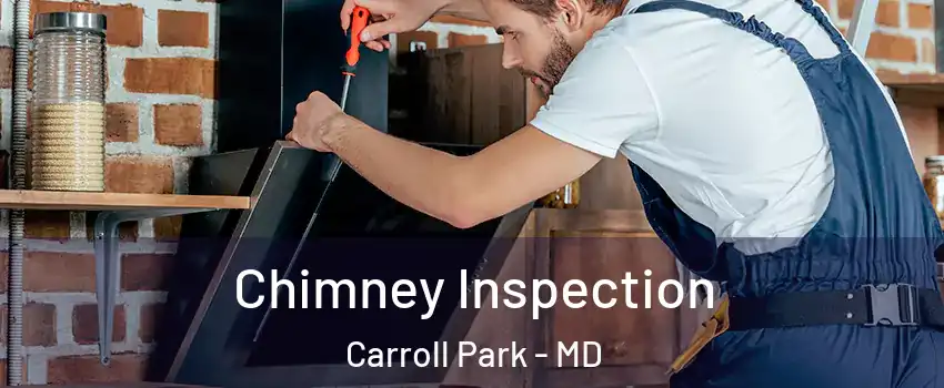 Chimney Inspection Carroll Park - MD