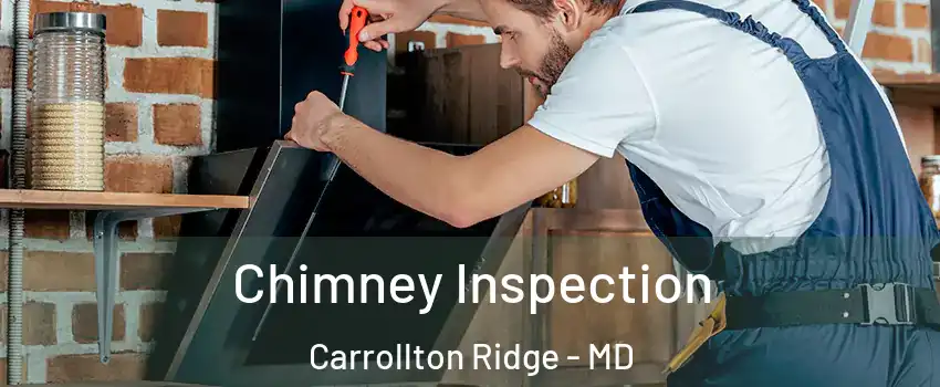 Chimney Inspection Carrollton Ridge - MD