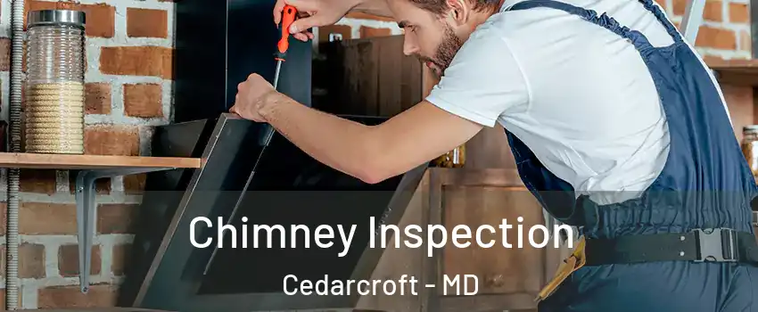 Chimney Inspection Cedarcroft - MD