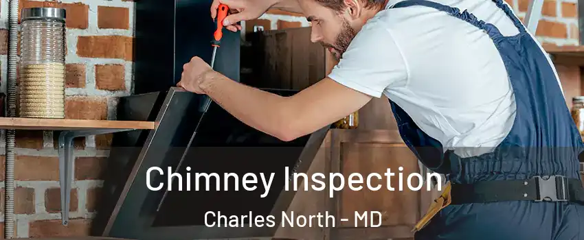 Chimney Inspection Charles North - MD