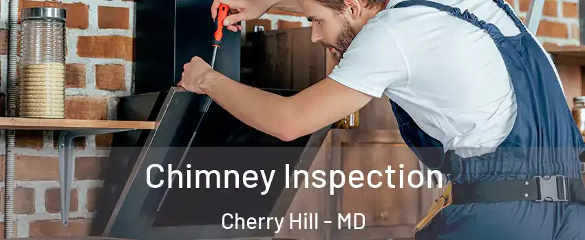 Chimney Inspection Cherry Hill - MD