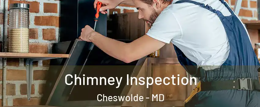 Chimney Inspection Cheswolde - MD