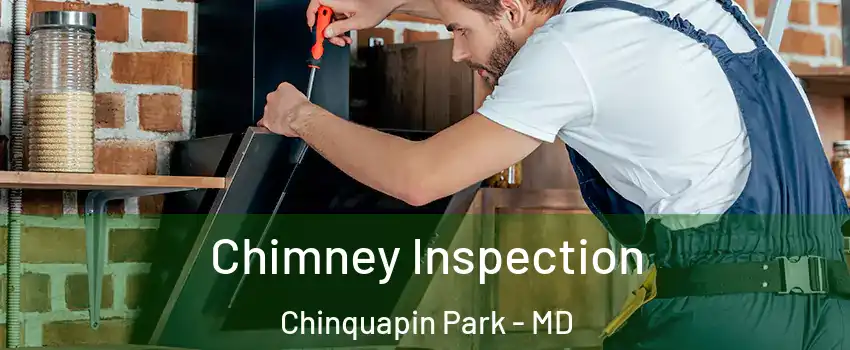 Chimney Inspection Chinquapin Park - MD