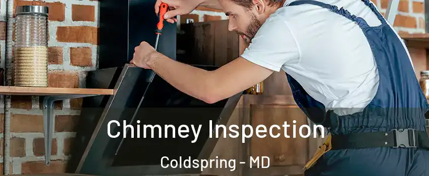 Chimney Inspection Coldspring - MD