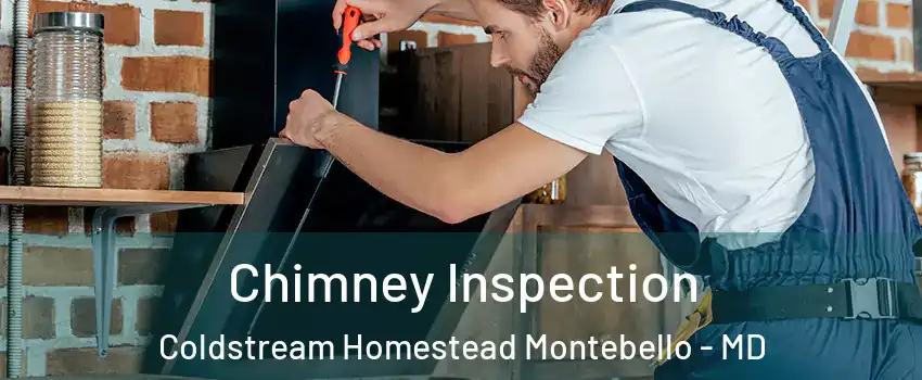 Chimney Inspection Coldstream Homestead Montebello - MD