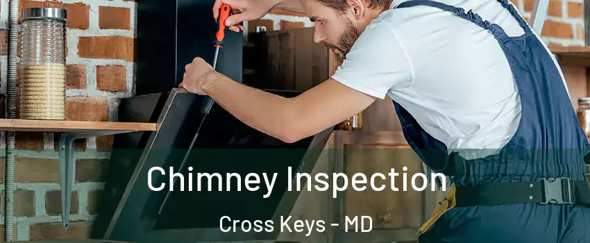 Chimney Inspection Cross Keys - MD