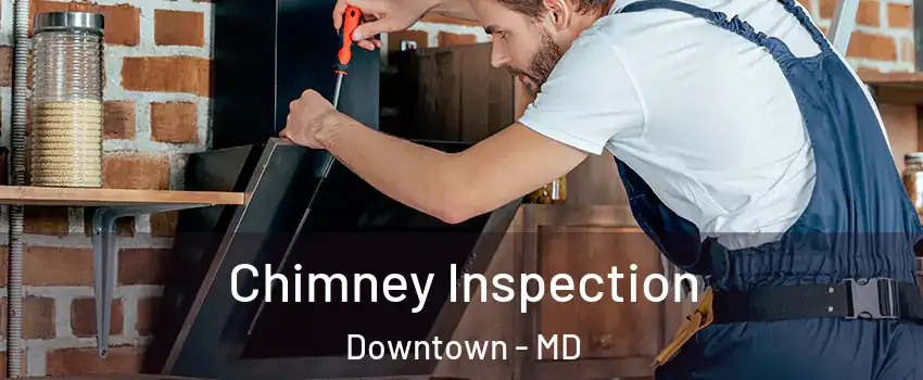Chimney Inspection Downtown - MD