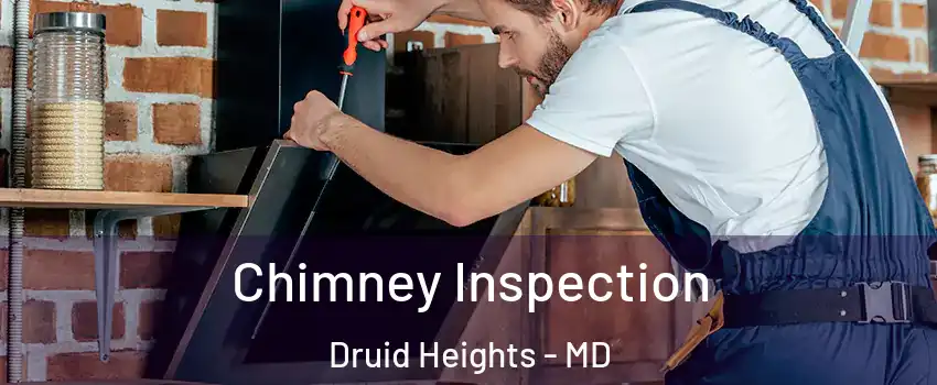Chimney Inspection Druid Heights - MD