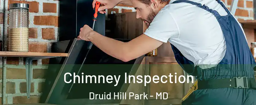 Chimney Inspection Druid Hill Park - MD