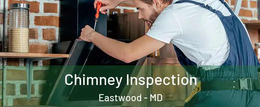 Chimney Inspection Eastwood - MD