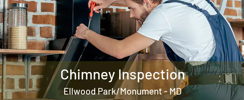 Chimney Inspection Ellwood Park/Monument - MD