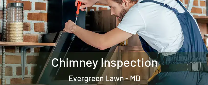 Chimney Inspection Evergreen Lawn - MD