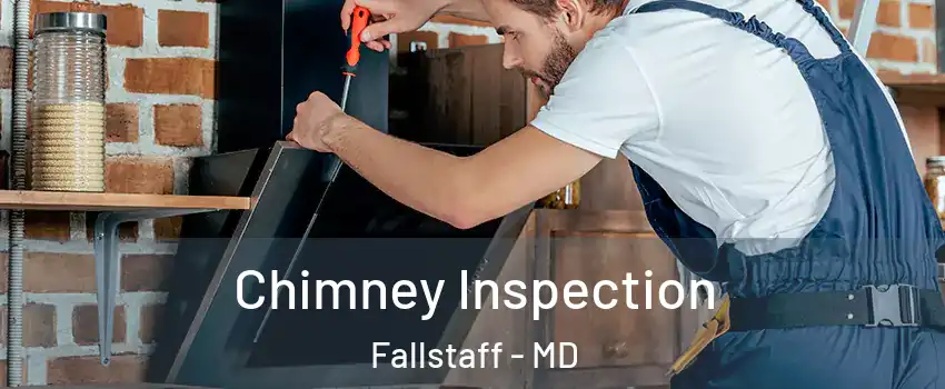 Chimney Inspection Fallstaff - MD