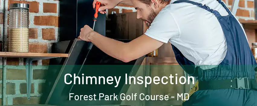 Chimney Inspection Forest Park Golf Course - MD
