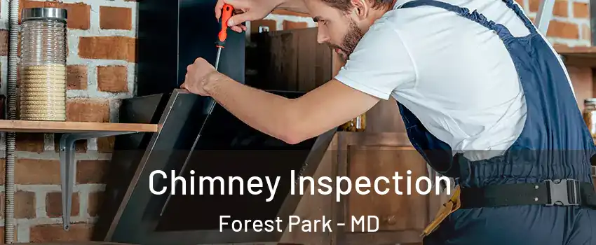Chimney Inspection Forest Park - MD
