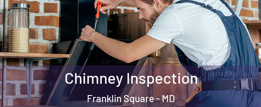 Chimney Inspection Franklin Square - MD