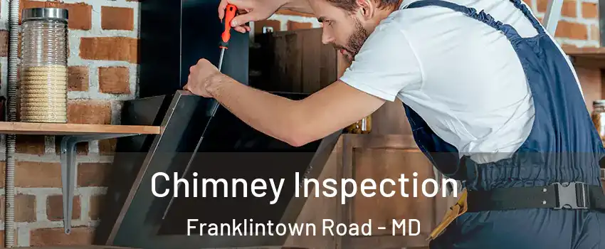 Chimney Inspection Franklintown Road - MD