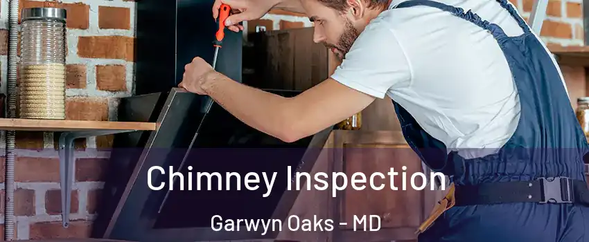 Chimney Inspection Garwyn Oaks - MD