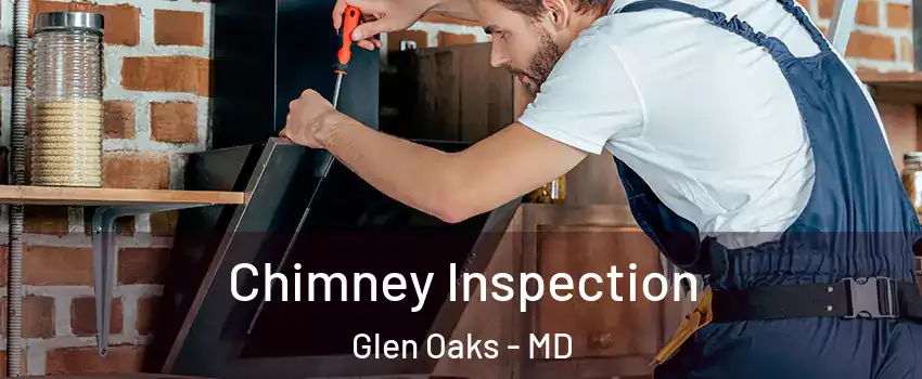Chimney Inspection Glen Oaks - MD
