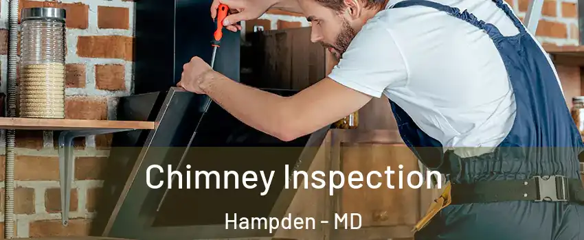 Chimney Inspection Hampden - MD