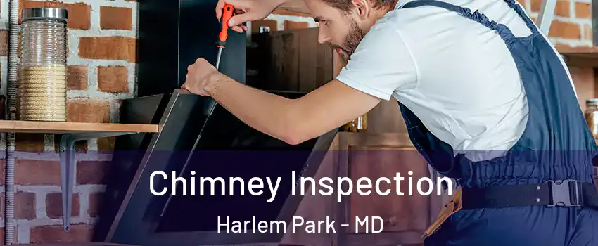 Chimney Inspection Harlem Park - MD