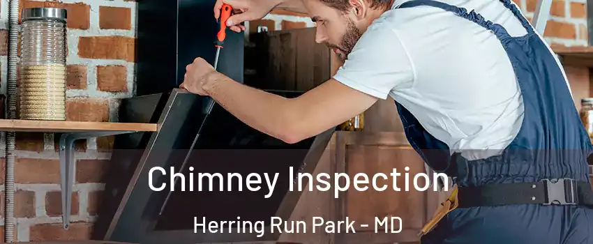 Chimney Inspection Herring Run Park - MD