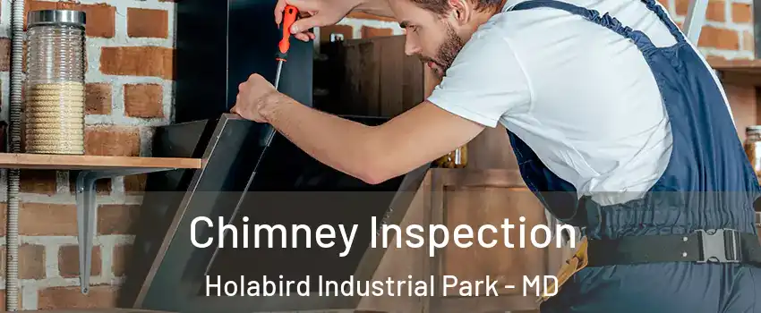 Chimney Inspection Holabird Industrial Park - MD