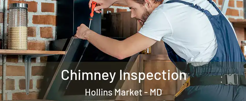 Chimney Inspection Hollins Market - MD