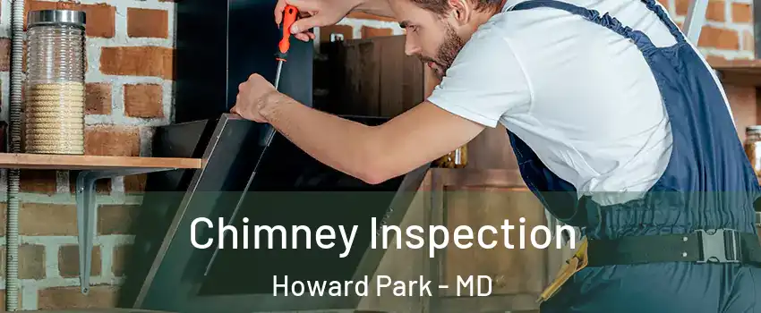 Chimney Inspection Howard Park - MD