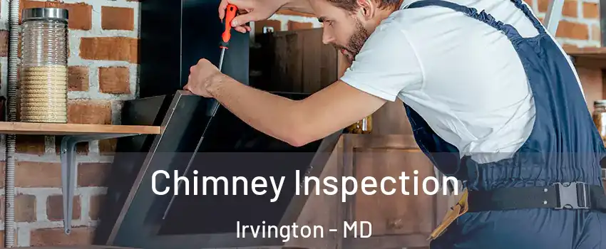 Chimney Inspection Irvington - MD