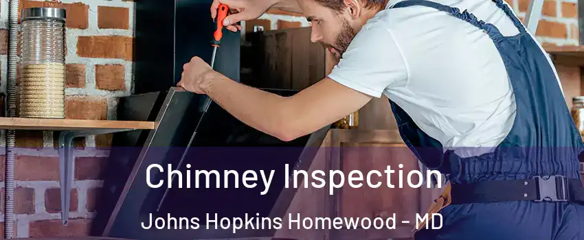 Chimney Inspection Johns Hopkins Homewood - MD
