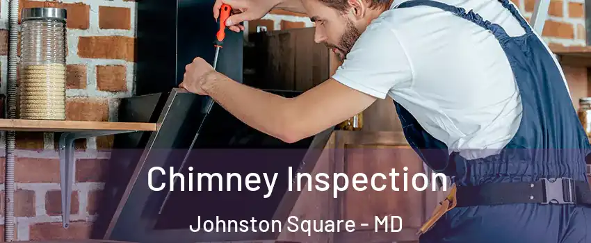 Chimney Inspection Johnston Square - MD