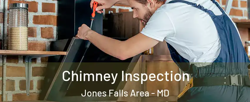 Chimney Inspection Jones Falls Area - MD