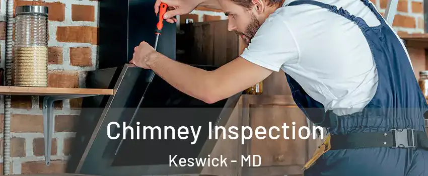 Chimney Inspection Keswick - MD