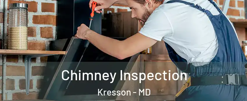 Chimney Inspection Kresson - MD