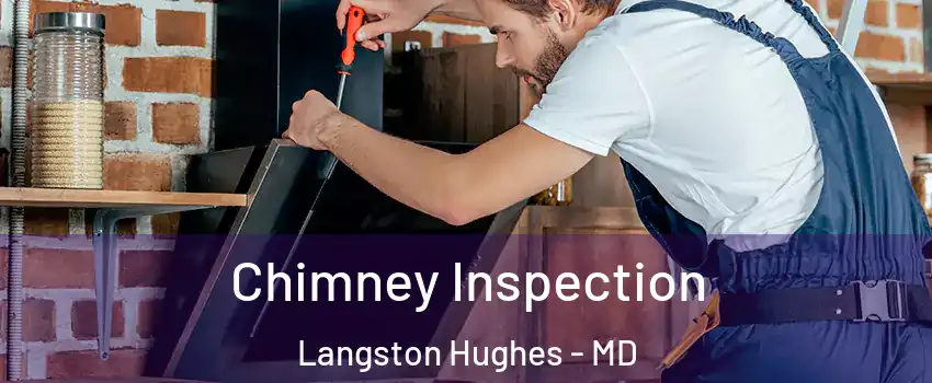Chimney Inspection Langston Hughes - MD