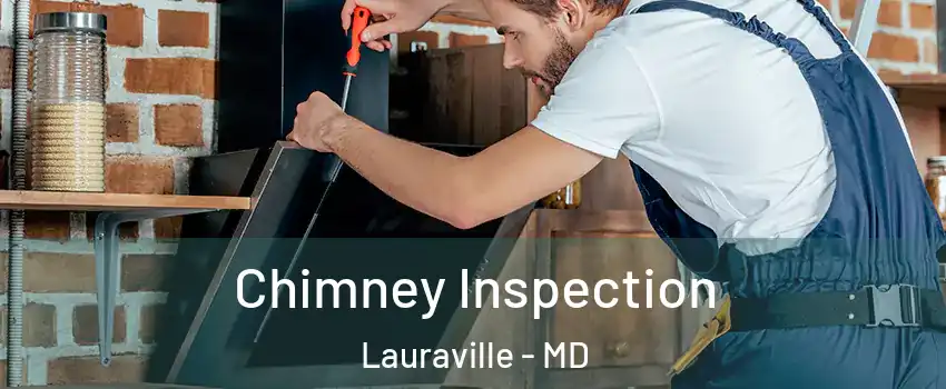 Chimney Inspection Lauraville - MD