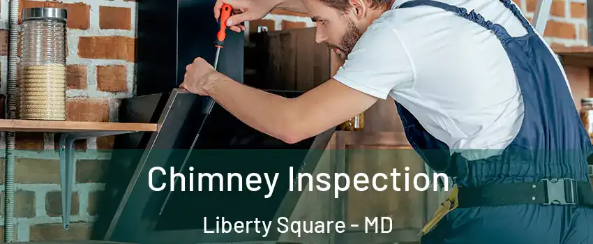 Chimney Inspection Liberty Square - MD