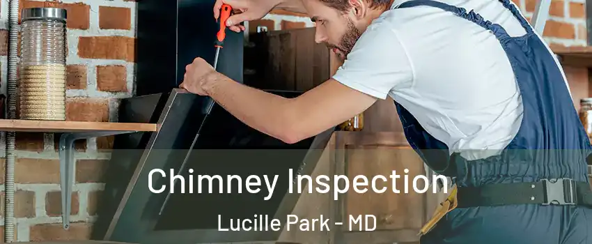 Chimney Inspection Lucille Park - MD