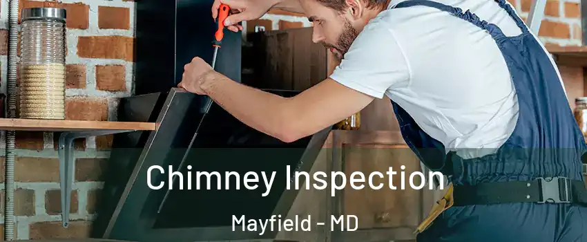 Chimney Inspection Mayfield - MD