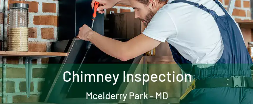 Chimney Inspection Mcelderry Park - MD