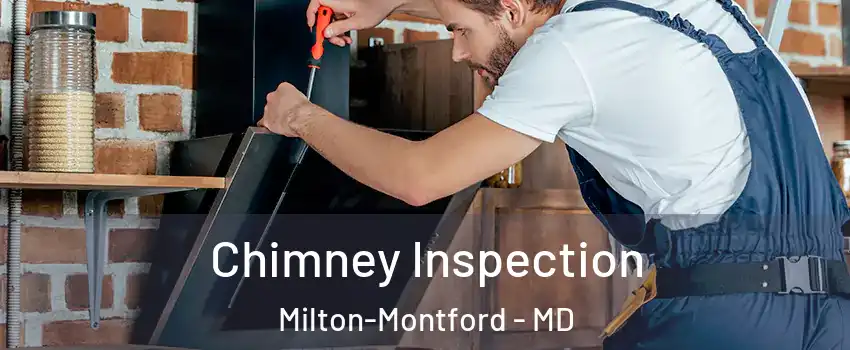 Chimney Inspection Milton-Montford - MD
