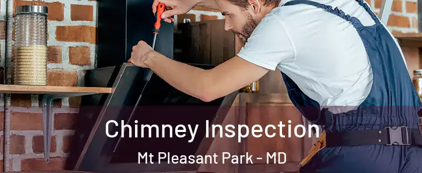 Chimney Inspection Mt Pleasant Park - MD