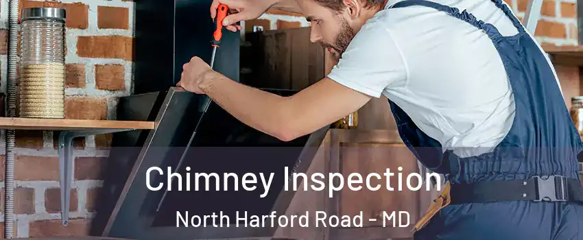 Chimney Inspection North Harford Road - MD
