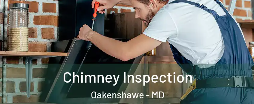 Chimney Inspection Oakenshawe - MD