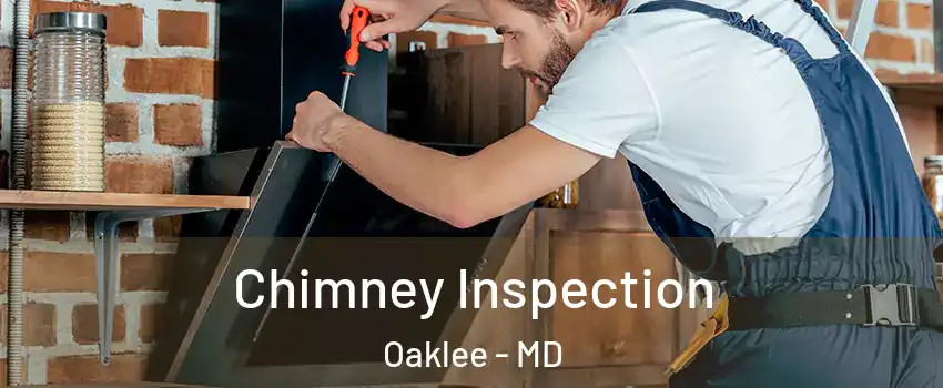 Chimney Inspection Oaklee - MD