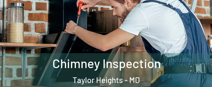Chimney Inspection Taylor Heights - MD